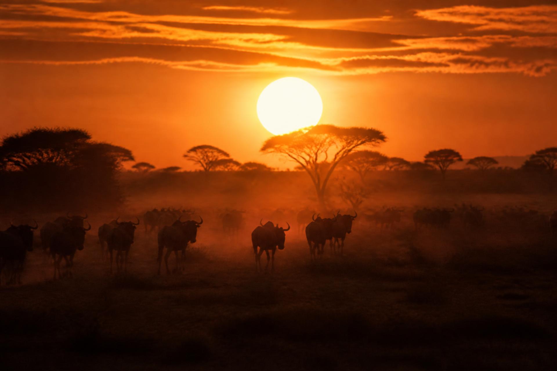 Sol se pondo sobre a savana africana durante um safári